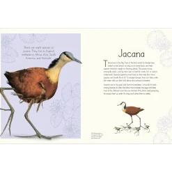 An Anthology of Aquatic Life