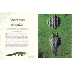 An Anthology of Aquatic Life
