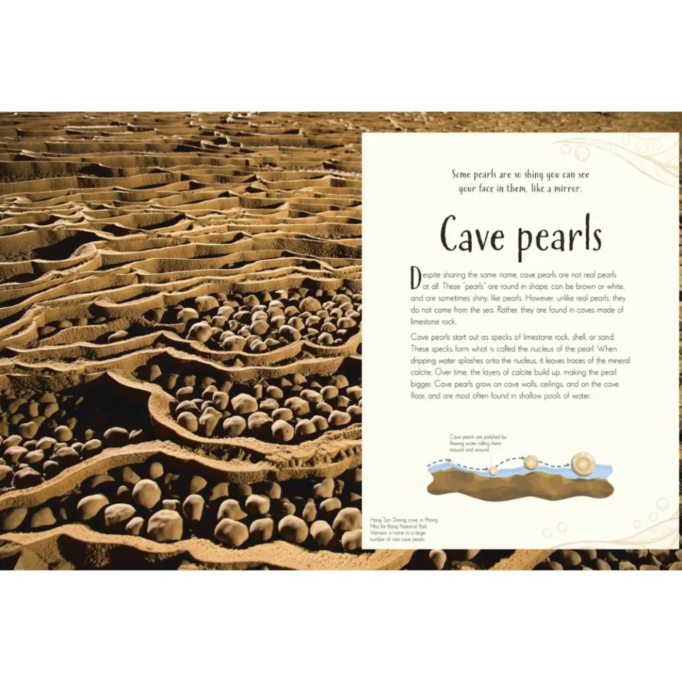 An Anthology of Our Extraordinary Earth