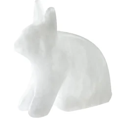 Arctic Hare Alabaster Carving Kit