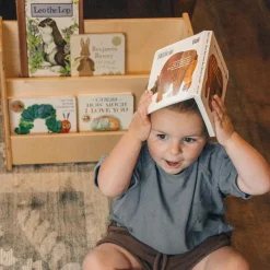 Book Nook Wooden Book Shelf