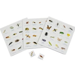 Bug Bingo Family Game