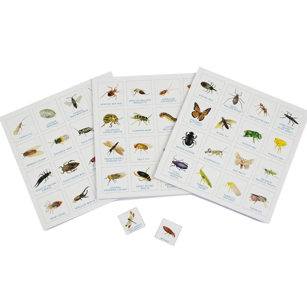 Bug Bingo Family Game