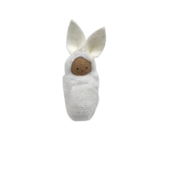 Bunny Rabbit Babies