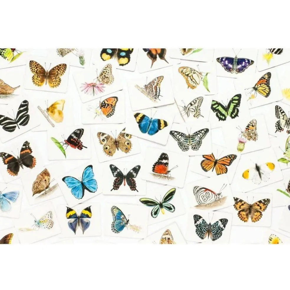 Butterfly Wings Matching Game