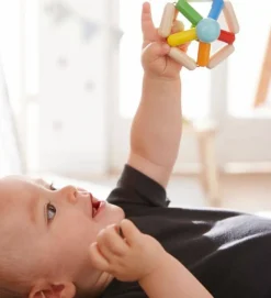 Color Carousel Wooden Baby Rattle