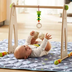 Color Fun Wooden Play Gym And Activity Center