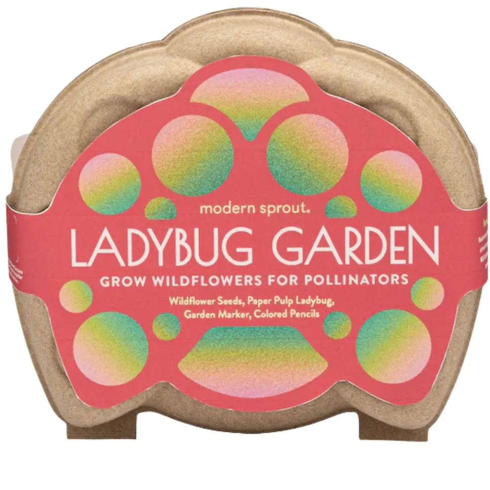 Curious Critter Ladybug Garden Kit