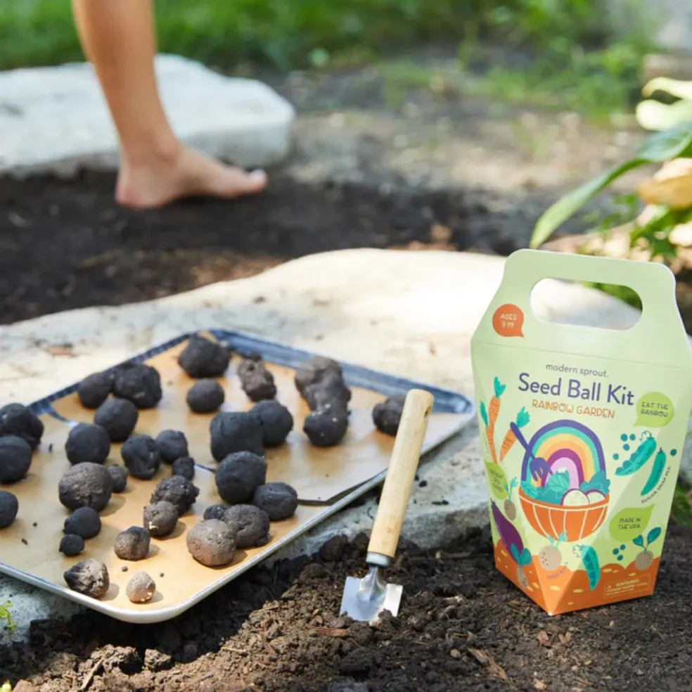 DIY Seed Ball Kit Rainbow Garden