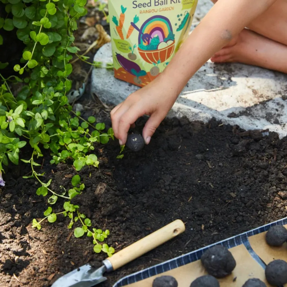DIY Seed Ball Kit Rainbow Garden