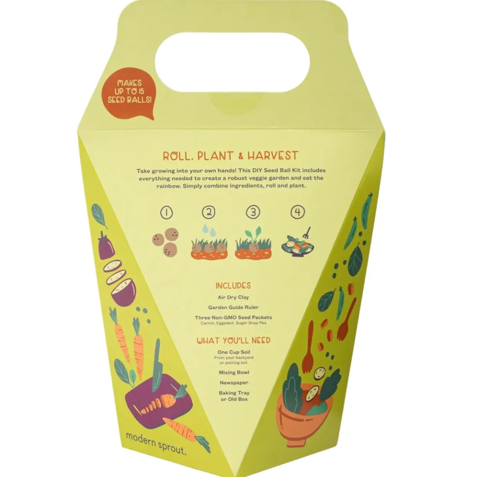 DIY Seed Ball Kit Rainbow Garden