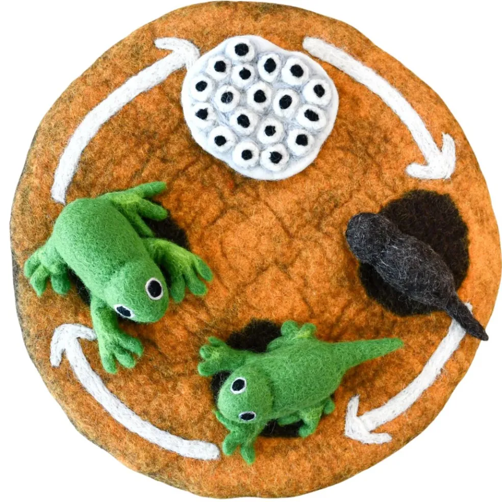 Felted Frog Life Stages Set with Life Cycle Playmat