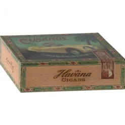 Grandma and Grandpa Mice in a Cigarbox
