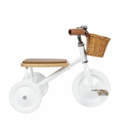 Kid's Modern Tricycle (Multiple Colors)