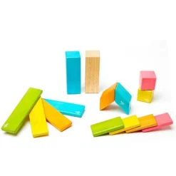 Magnetic Wooden Blocks - 14 Piece Set Tints