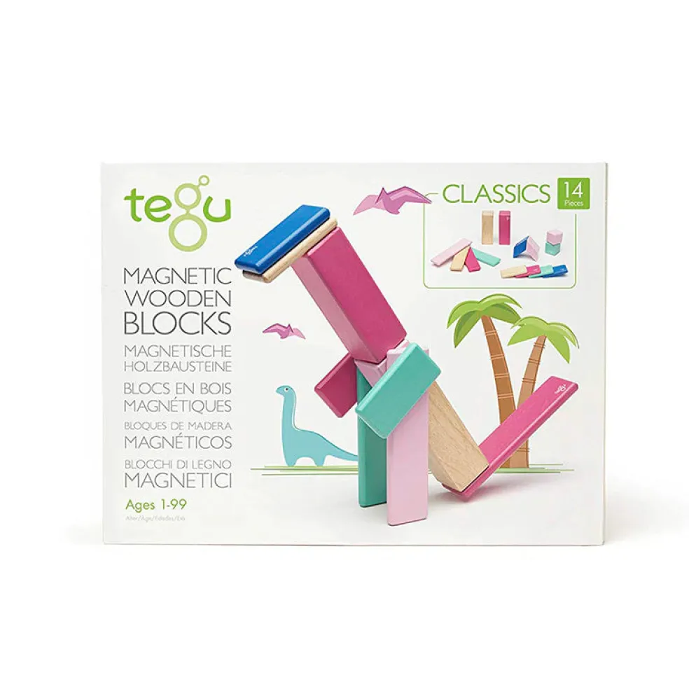 Magnetic Wooden Blocks - 14 Piece Set - Blossom