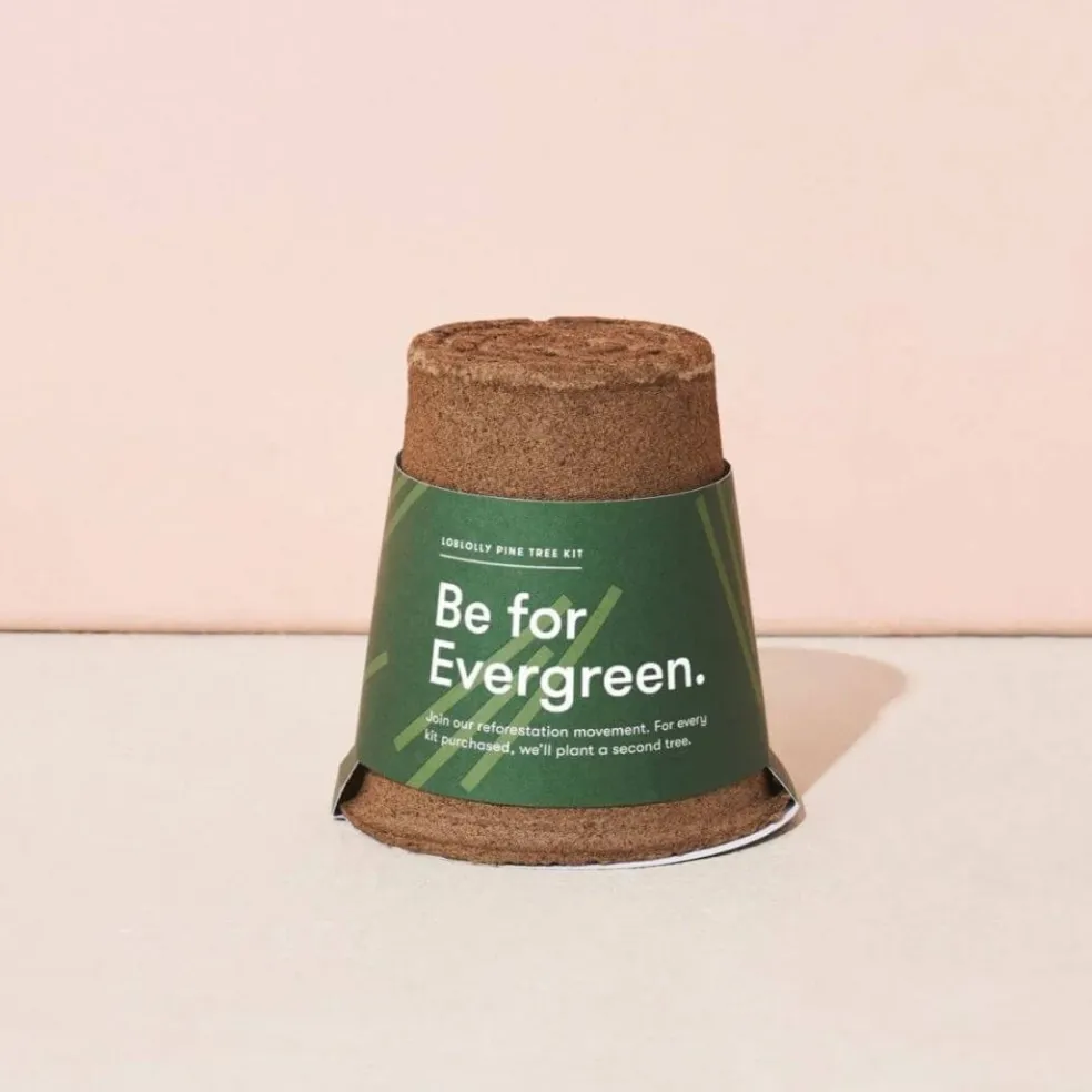 Modern Sprout One-For One Tree Kit