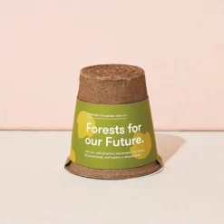 Modern Sprout One-For One Tree Kit
