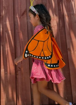 Monarch Butterfly Wings