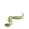 Ostheimer Snake