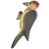 Ostheimer Woodpecker