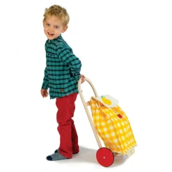 Pull Along Shopping Trolley