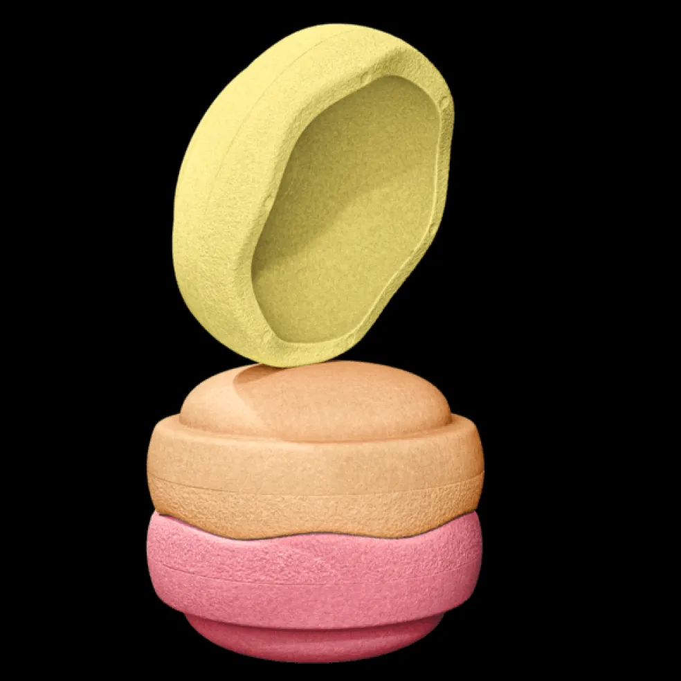 Stapelstein® Kids Stepping Stones - Warm Colors