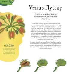 The Secret World of Plants