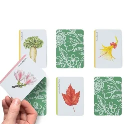 Tree Families: A Botanical Card Game