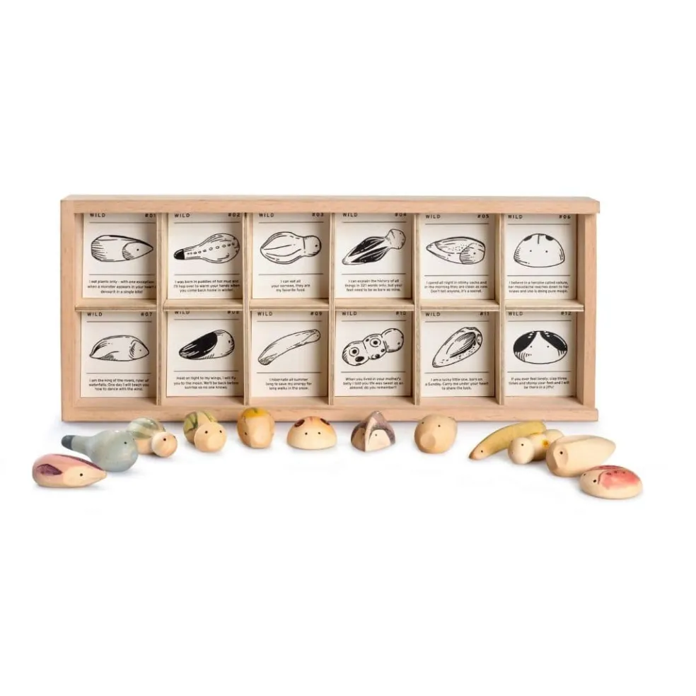 Wild: Exploration Play Set and Sorting Tray