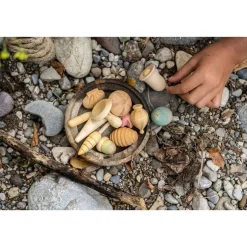 Wonders: A Collection of 12 Wooden Plant-Inspired Play Pieces