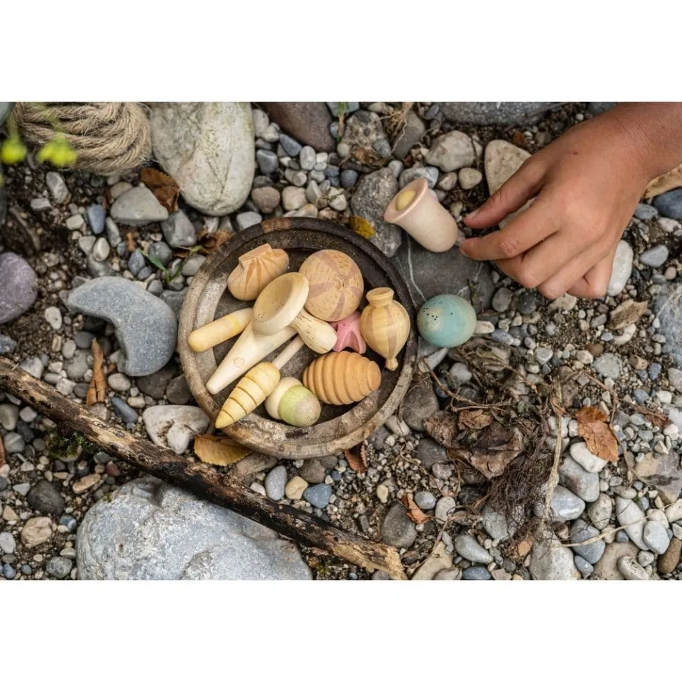 Wonders: A Collection of 12 Wooden Plant-Inspired Play Pieces