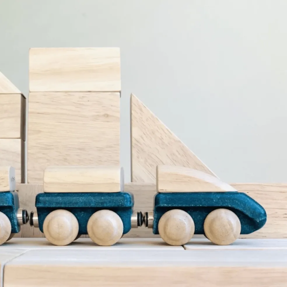 Wooden Hybrid Train